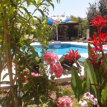 Paradise Garden Gumusluk Evleri Apart otel Dış mekan fotoğraf