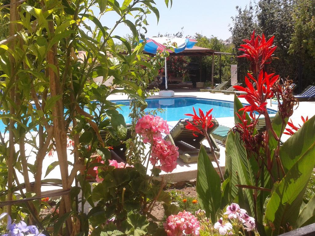 Paradise Garden Gumusluk Evleri Apart otel Dış mekan fotoğraf