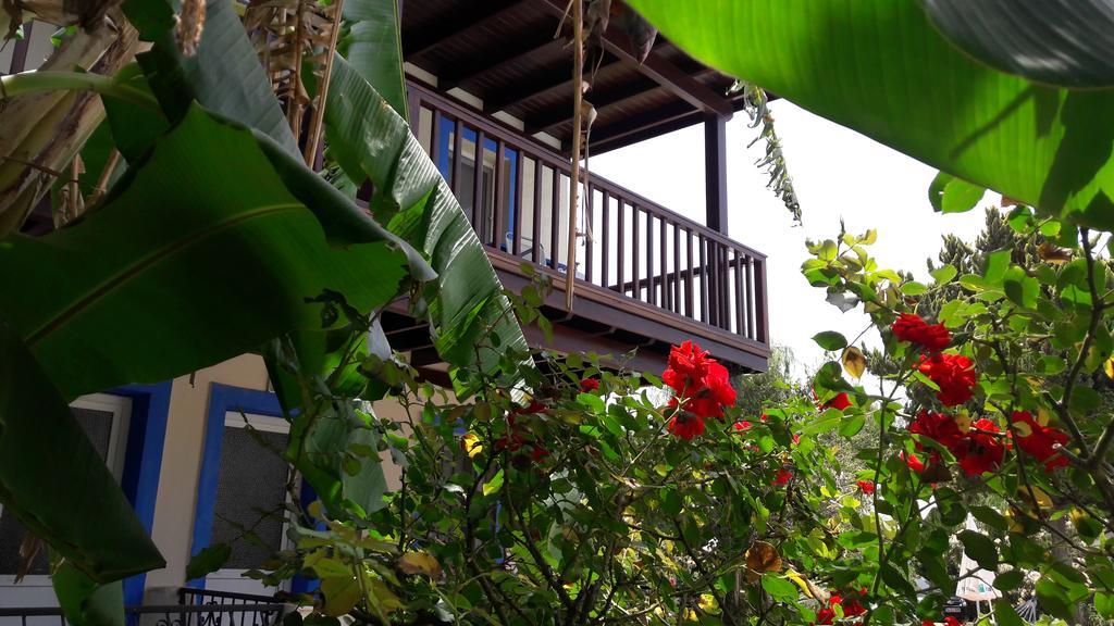 Paradise Garden Gumusluk Evleri Apart otel Dış mekan fotoğraf